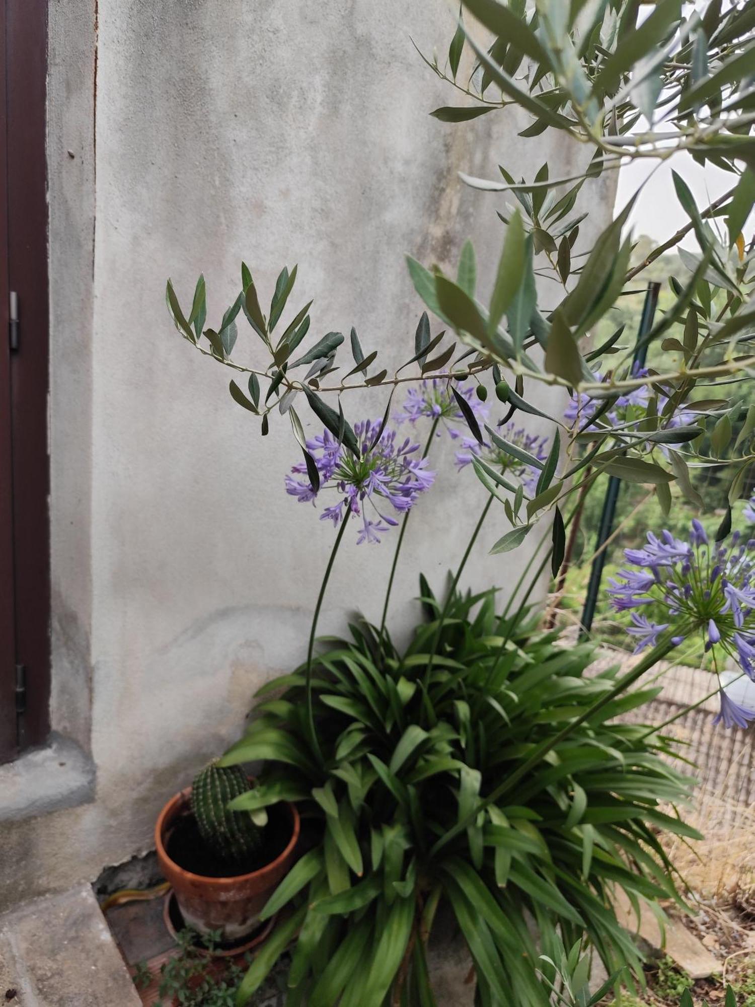Casa In Antico Borgo Medievale A Tarano Ri, Via Giacomo Leopardi, 15 Villa Buitenkant foto